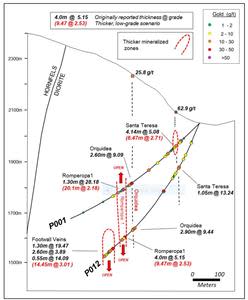 Cross section through holes P001 and P012 showing vertical setting of the wider mineralized zones.