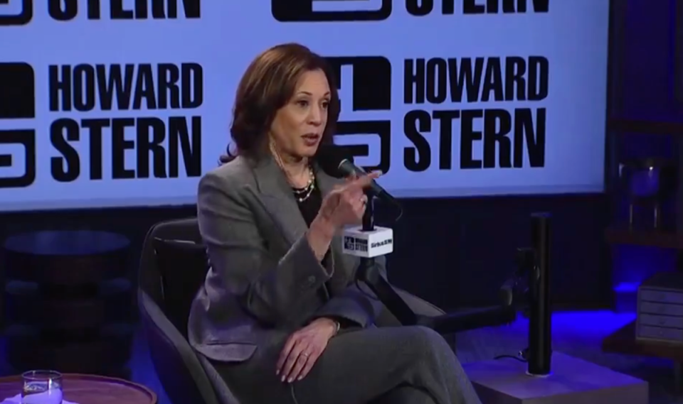 Kamala Harris appeared on The Howard Stern Show on 8 October (The Howard Stern Show/SiriusXM)