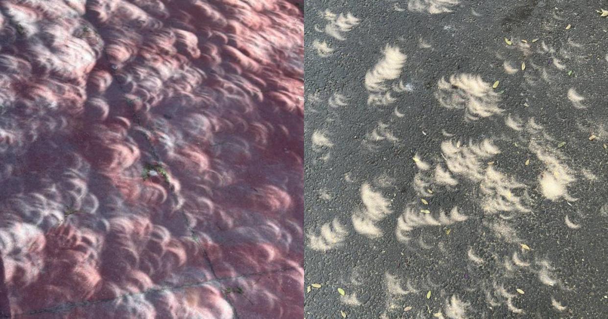 El fenómeno que causó el eclipse solar en la sombra de los árboles. Foto: X vía @davidtoro_15 y @santiago_savi
