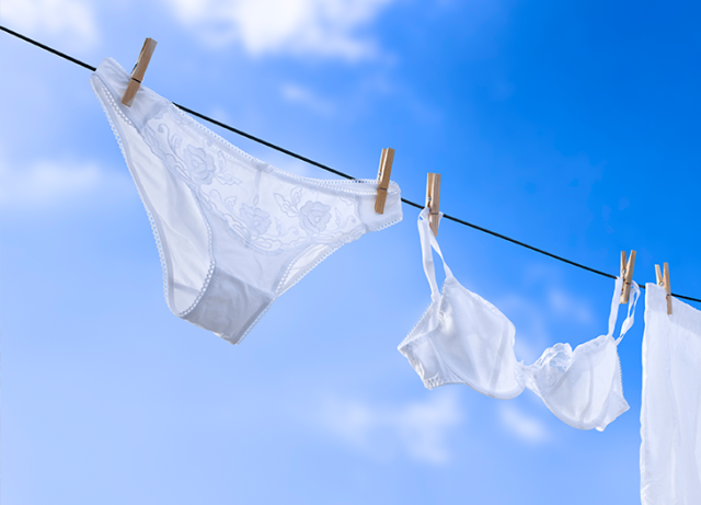 Warners Nude Briefs underwear Size Medium