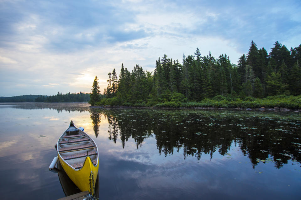 Mauricie national park in summer