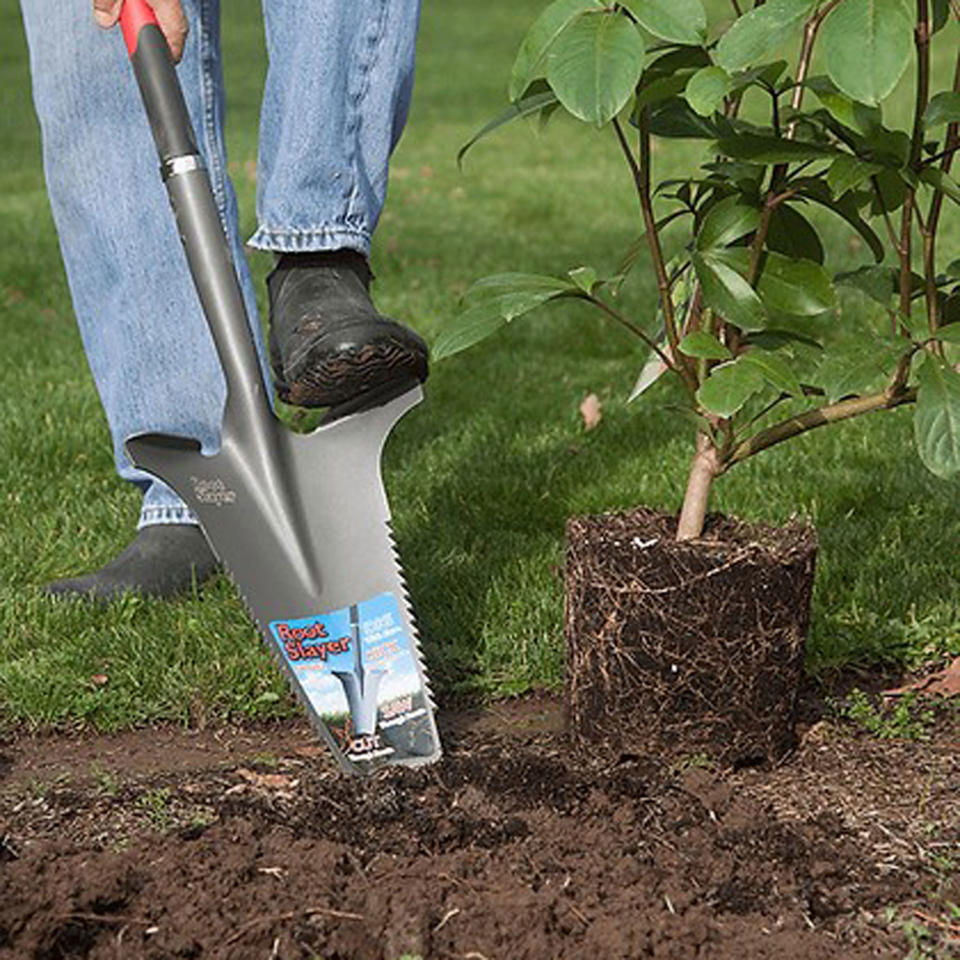 the root slayer shovel digging up soil for a plant