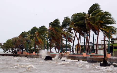 Winds lash the coastal city of Fajardo as Hurricane Maria approaches Puerto Rico - Credit: RICARDO ARDUENGO/AFP/Getty