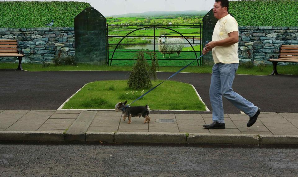 Man walks his dog past a hoarding around a building site, which has been covered with artwork to make it look more appealing, in the village of Bushmills on the Causeway Coast