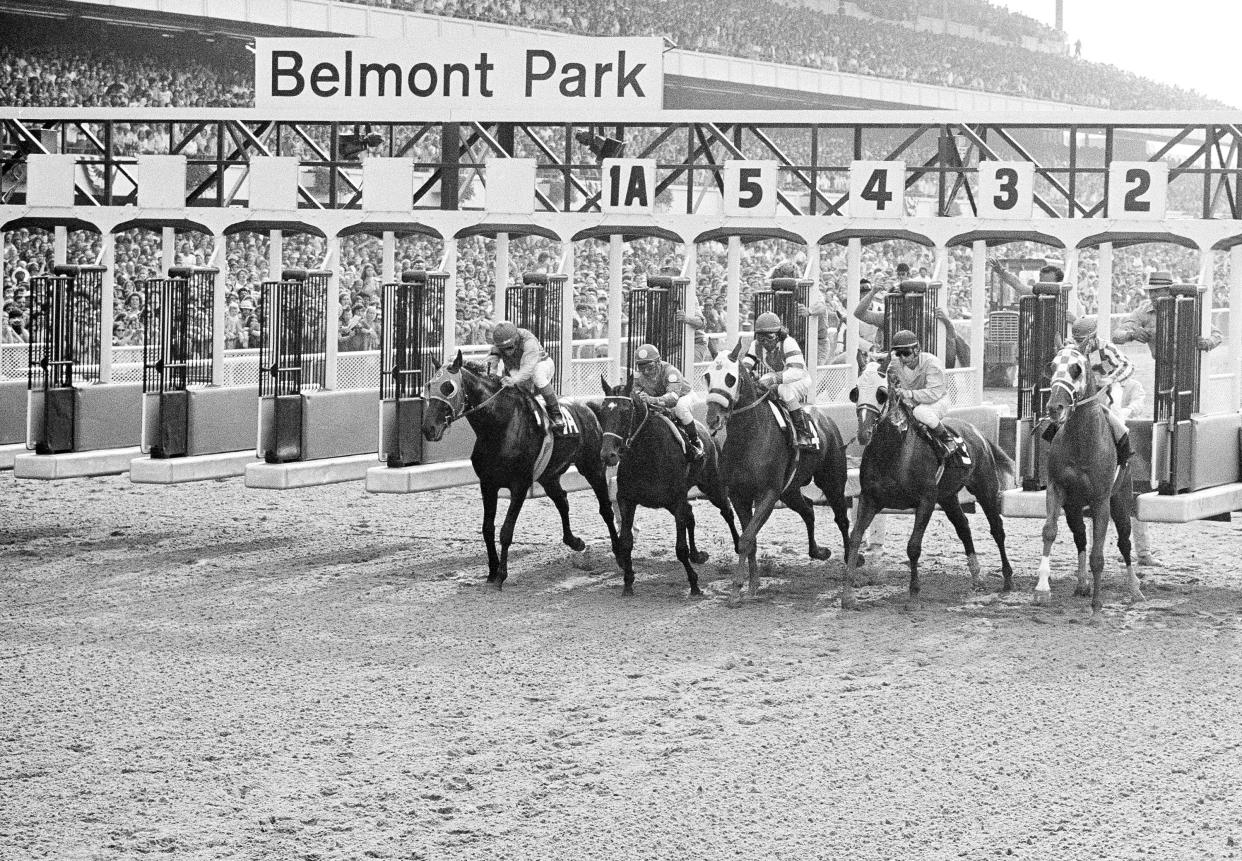 The field horses entered in the Belmont Stakes leaves the starting gate on June 9, 1973 in Belmont Park at Elmont, N.Y.     From left, are, Sham; Twice a Prince; My Gallant; Pvt. Smiles, and Secretariat, who won the race and racing's a Triple Crown.   Secretariat had also won the Preakness and the Kentucky Derby. (AP Photo)