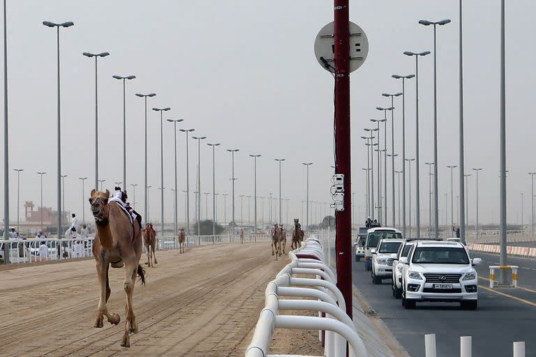 Las carreras de camello ya no llevan niños jockeys, sino que se concretan con robots 