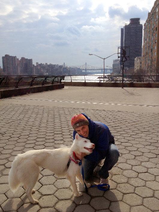 In this Feb 16, 2013, photo provided by the ASPCA, Gavriel Kohlberg of New York City poses with Maya, a 2-year-old Siberian husky mix, during a walk in Charles Schurz Park on the upper east side of Manhattan. When Kohlberg proposed to Rebecca Hjorten in Central Park, it was to both Hjorten and Maya. (AP Photo/Rebecca Hjorten)