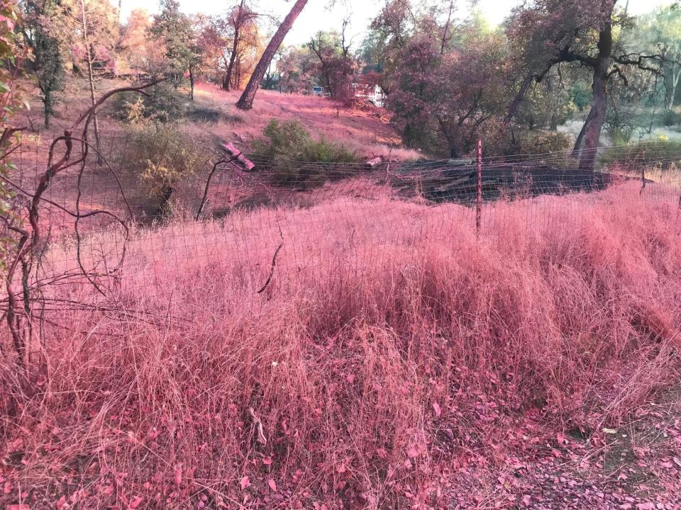 Air tankers on Thursday, Aug. 22, 2019 hit this field with a good drop of retardant on the Mountain Fire.