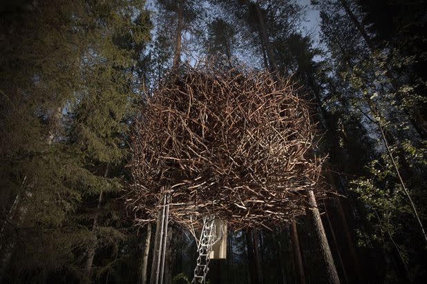 <p>Live like the birds for one night at this truly memorable hotel in Sweden. The nest-shaped room can actually sleep four people.</p><p><a class="link " href="https://go.redirectingat.com?id=74968X1596630&url=https%3A%2F%2Fwww.tripadvisor.com%2FHotel_Review-g6200614-d1872348-Reviews-Treehotel-Harads_Norrbotten_County.html%23%2Fmedia%2F1872348%2F238647424%3Ap%2F%3Falbumid%3D101%26type%3D0%26category%3D101&sref=https%3A%2F%2Fwww.housebeautiful.com%2Fdesign-inspiration%2Fhouse-tours%2Fg3301%2Famazing-tree-house-homes%2F" rel="nofollow noopener" target="_blank" data-ylk="slk:BOOK NOW;elm:context_link;itc:0;sec:content-canvas">BOOK NOW</a> <strong><em>Bird's Nest</em></strong><br></p>
