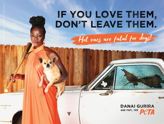 <p>Matt Sayles/ PETA</p> Danai Gurira and her dog, Papi, appear in a PETA ad