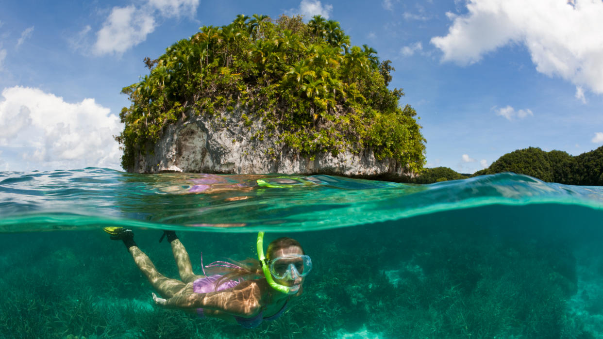  A tourist diving in the waters at Palau. 