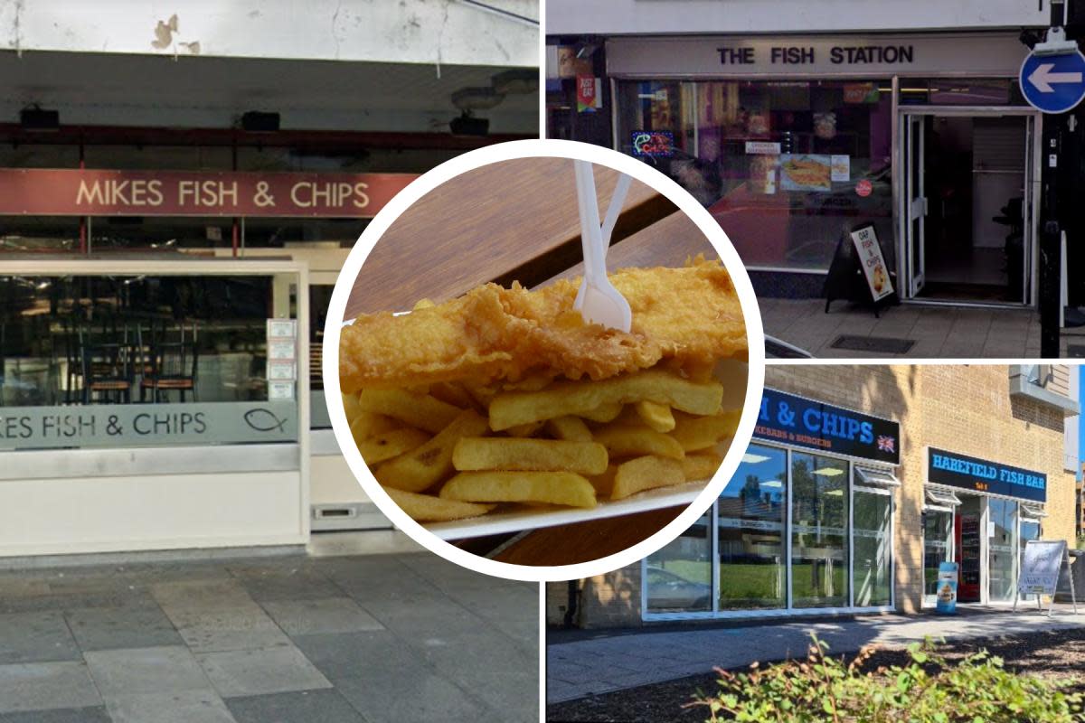 Harefield Fish Bar, The Fish Station and Mike's Fish and Chips were among the best places recommended by Daily Echo readers <i>(Image: Tripadvisor/Google Streetview/PA)</i>