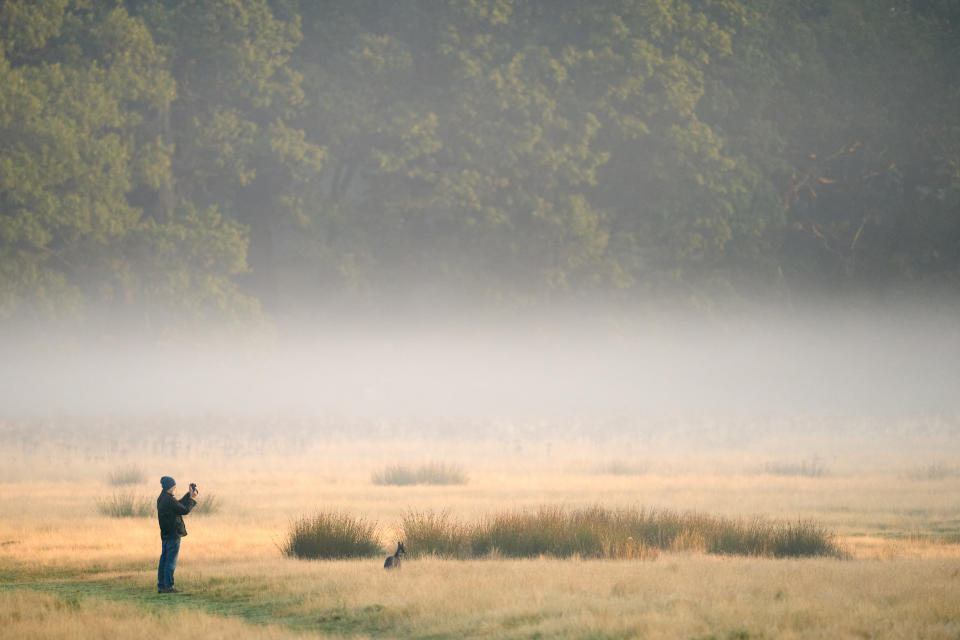 <p>A dog walker takes a photograph of the early morning mist in Richmond Park, London. Picture date: Thursday September 16, 2021.</p>
