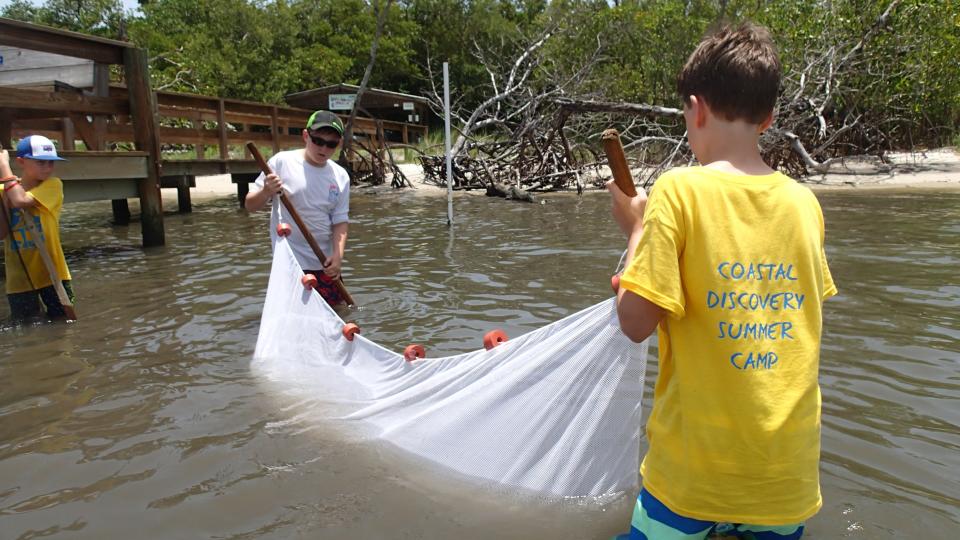 Students use a seine net to collect samples from sea grass beds near the Florida Oceanographic Coastal Science Center in Stuart.