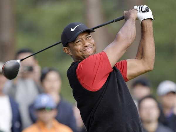 Golfer Tiger Woods (file image)