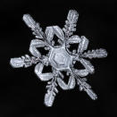 <p>Komarechka has had a lifelong fascination with all things macro — and especially snowflakes. (Photo: Don Komarechka/Caters News) </p>