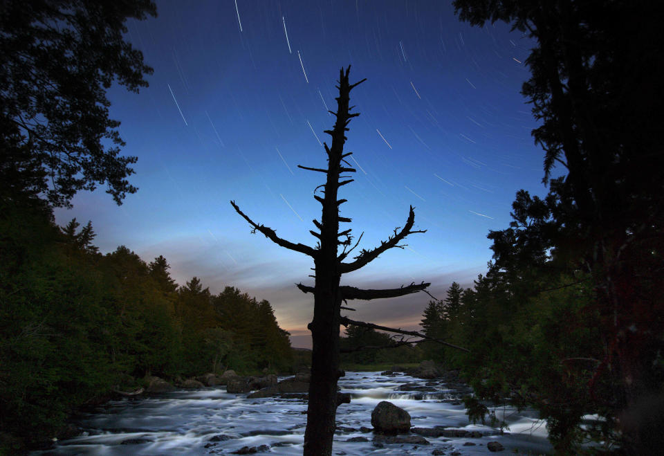 <p>Ein toter Baum nahe des Mount Katahdin wird vor der Kulisse eines reißenden Flusses im US-Bundesstaat Maine perfekt in Szene gesetzt. (Bild: AP Photo/Robert F. Bukaty) </p>