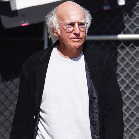 <p>Hollywood To You/Star Max/GC Images</p> Larry David