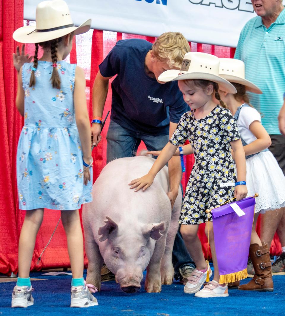Celai, Maeve and Stella Swentkofske pet the winning swine at the annual Governor's Blue Ribbon Livestock Auction on Wednesday, Aug. 10, 2022, at the Wisconsin State Fair.