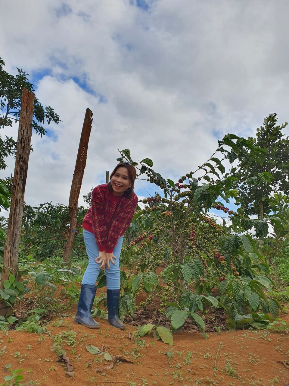 Ms Linh surveying the coffee farm that supplies to her coffee business. PHOTO: Ms Linh carving out time for her three children. PHOTO: Đoàn Trần Thùy Linh