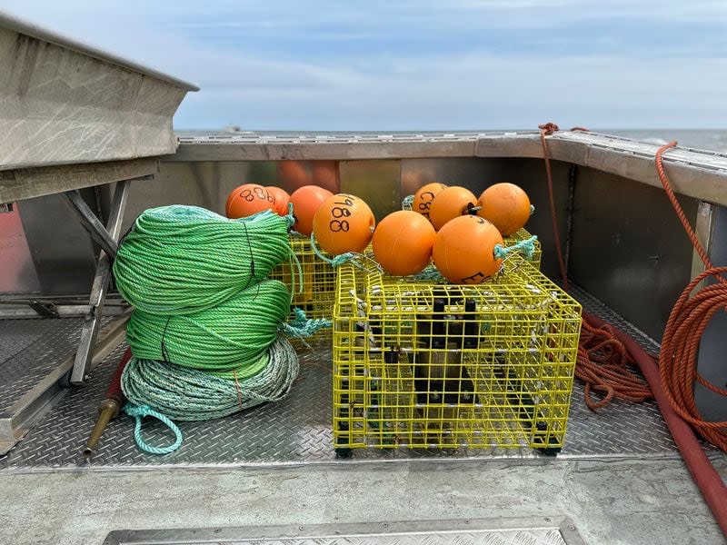 Snow crab fisherman Alden Gaudet says this isn't the first time he's had to change his plans because of whale sightings, but it is the first time he's been able to swap out his gear instead of moving out of the area entirely.