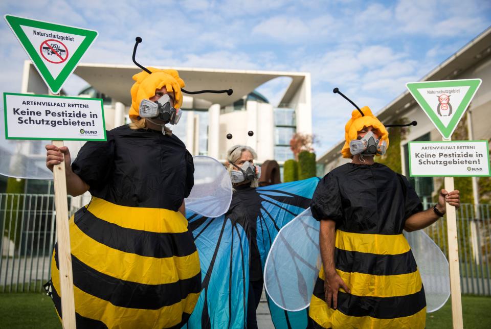 (Photo: ODD ANDERSEN via Getty Images)