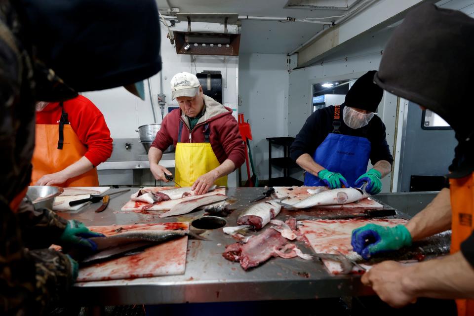 Terry Story, 70, of Owendale, left, and John Deimel, 46, of Bay Port, cut up whitefish with other workers at the Bay Port Fish Company in Bay Port on Wednesday, May 4, 2022.