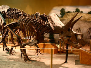 Wyoming Dinosaur Center