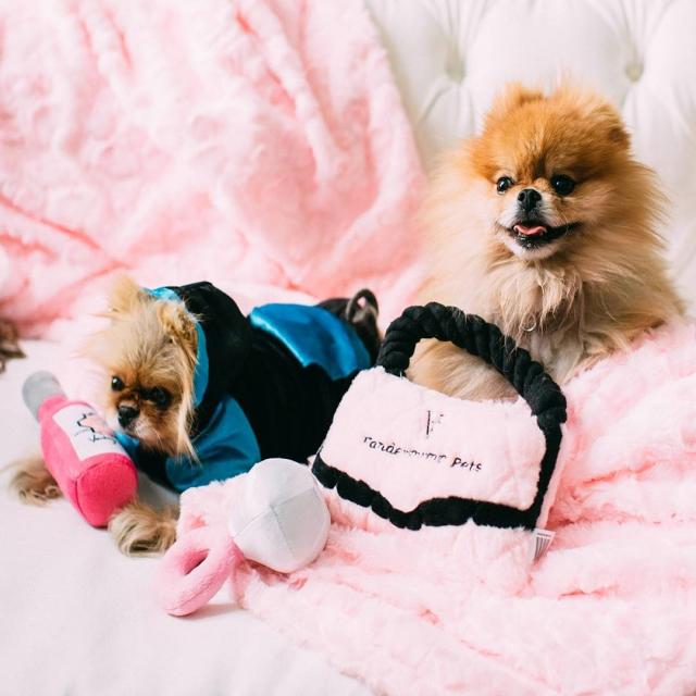 Pink Funny Dogs on Sports Bras, Dog Mom Apparels – AdoptAgust