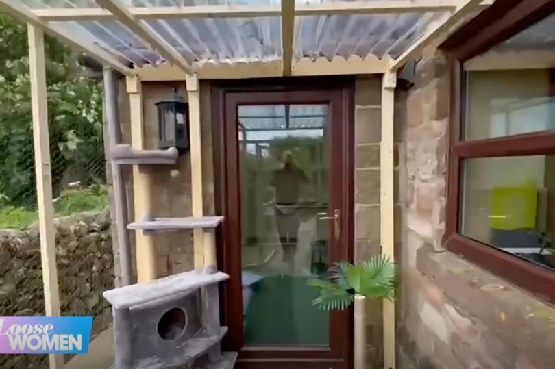 Coleen Nolan's Catio