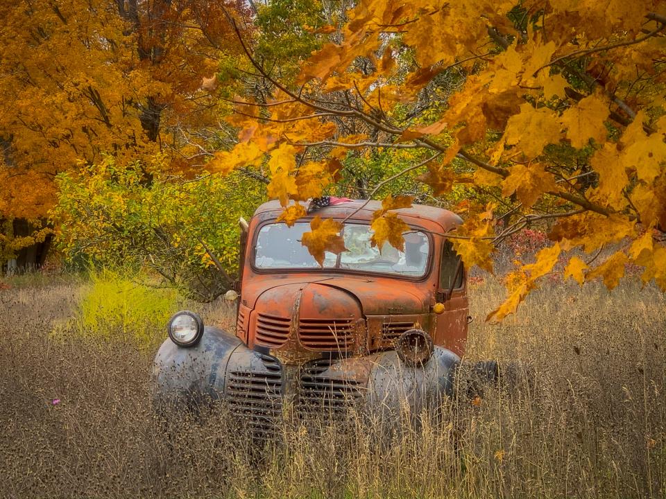 An old truck sits in a field surrounded by fall color near the Tunnel of Trees in October 2020.