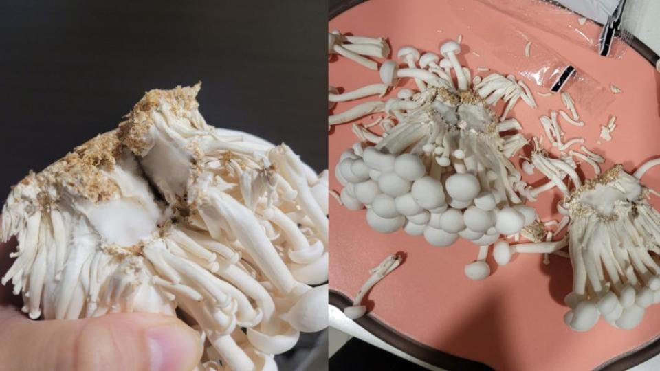 專家指出，疑似發霉的白毛狀物，其實是菌絲體，屬於正常現象且代表新鮮。（圖／翻攝自我愛全聯好物老實說臉書）