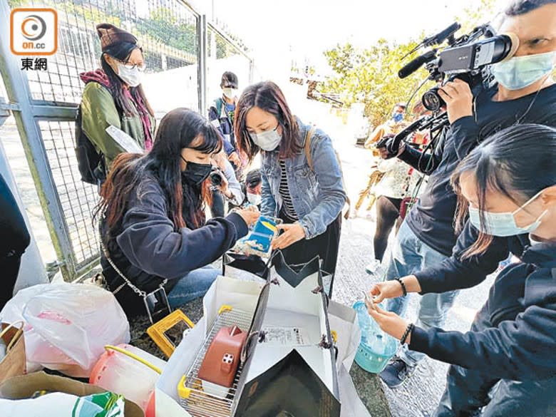 沙田：義工指收集到的倉鼠，會由義工自己飼養。