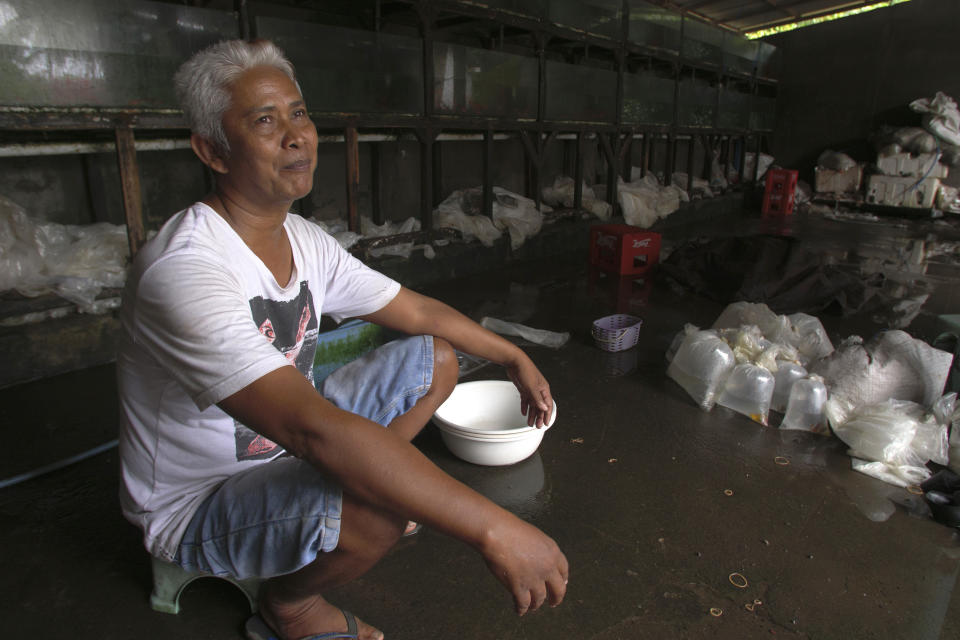 Pak Ketut, who has been selling fish for over a decade sits in aquarium middle man house in Les, Bali, Indonesia, on April 9, 2021. (AP Photo/Alex Lindbloom)