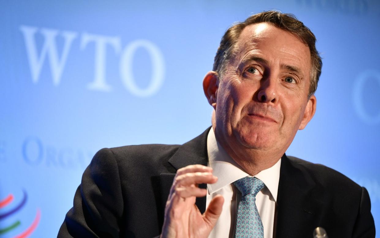 Liam Fox, Boris Johnson's former candidate to lead the World Trade Organisation, has condemned the Government's 'protectionist' policy - FABRICE COFFRINI 