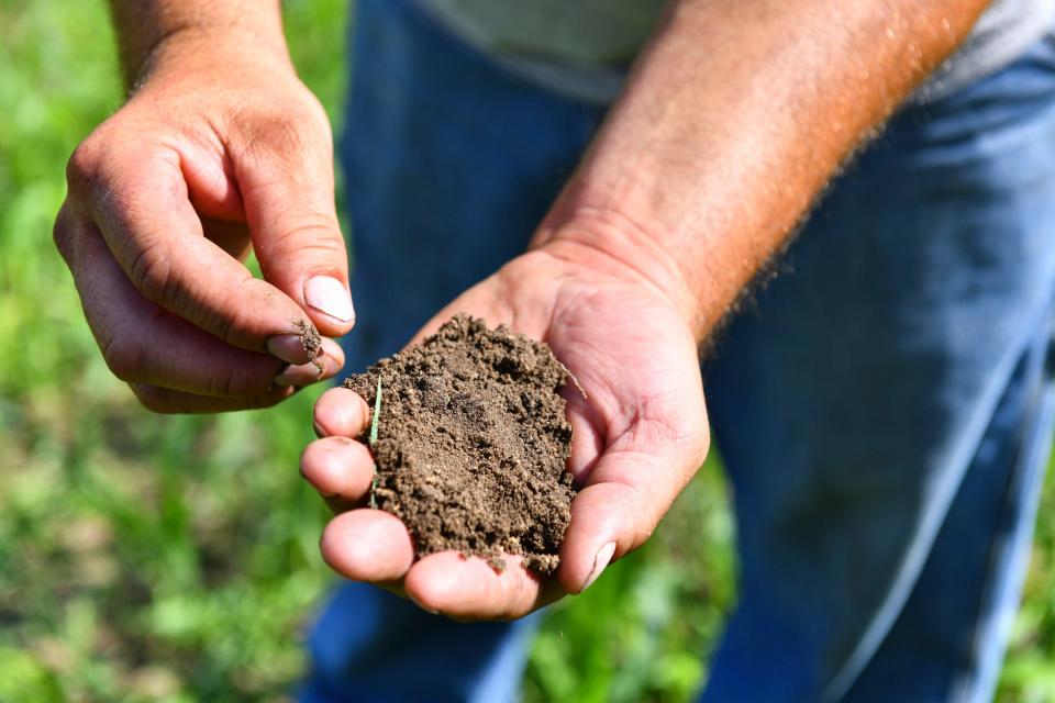 Farmer Jason Lorenz holds a handful of soil from a field he farms Tuesday, Aug. 31, 2021, near Little Falls.