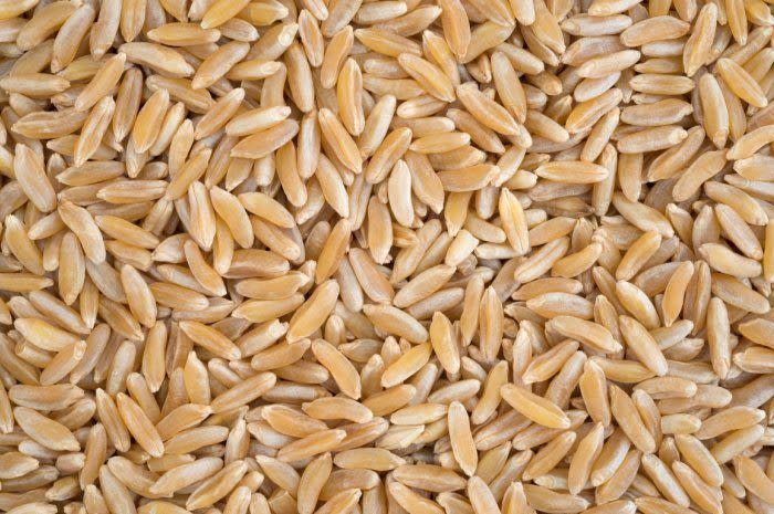 Khorasan Wheat