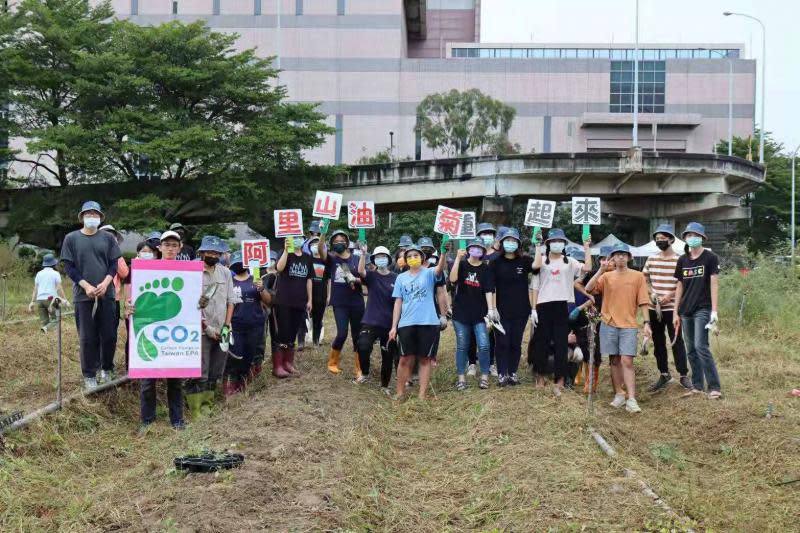 嘉大師生復育原生種「阿里山油菊」　再見金黃花海