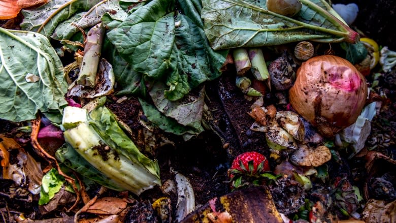 N.L. community undertakes mandatory composting campaign
