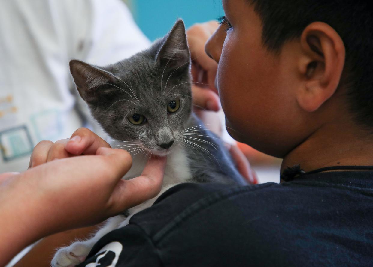 Ivan Labrada-Escobar holds a small kitten during Animal Camp at the Palm Springs Animal Shelter in Palm Springs, Calif., June 26, 2023.