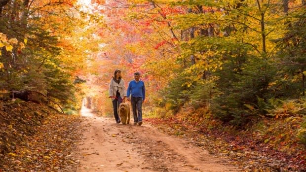 Tourism PEI/Paul Baglole