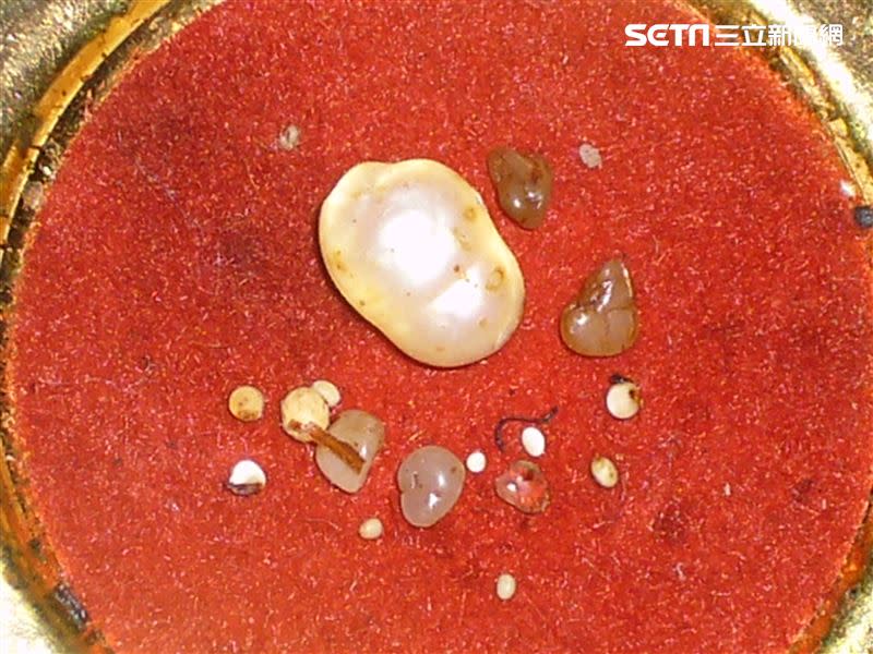 命理專家表示舍利子是某高僧贈與母親，30年後竟不斷長大還增生一旁的17顆小珍珠。(圖/楊登嵙提供)
