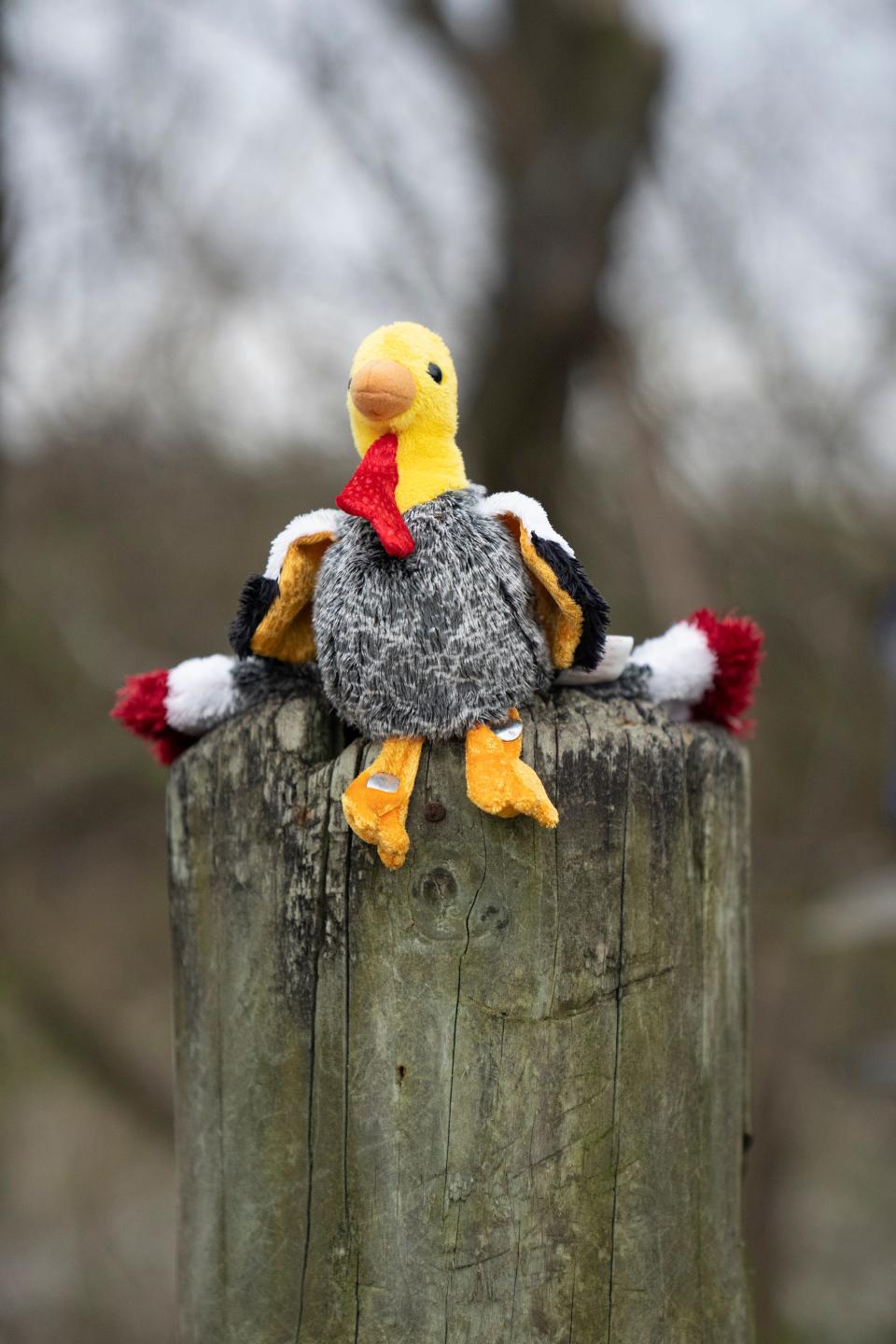 Stuffed animals decorate the wooden guardrail posts Monday near an area where visitors watch the nest of American bald eagles Annie, Apollo and their hatchlings along the Scioto River near Dublin Road in Columbus.