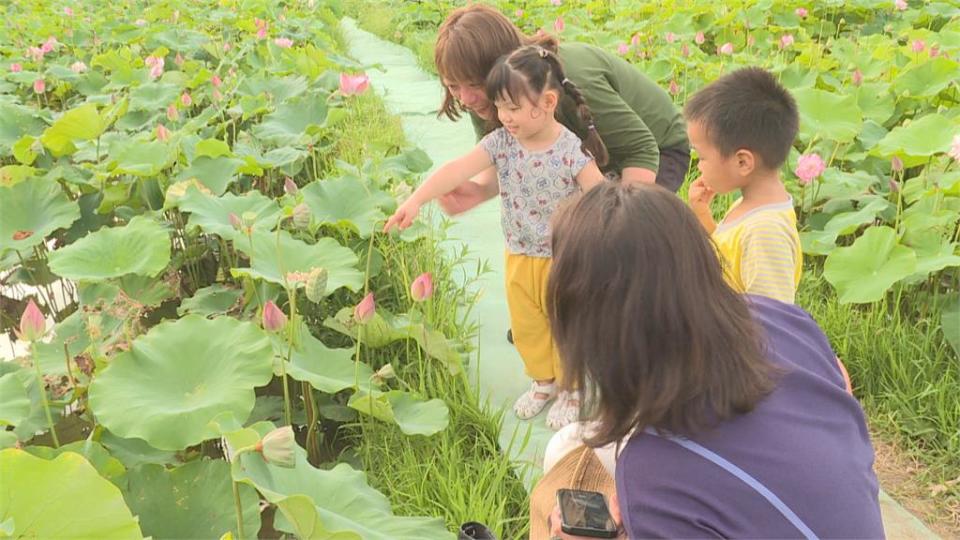 7/27降二級！　降級草案曝　餐廳、超商內用區有望開放