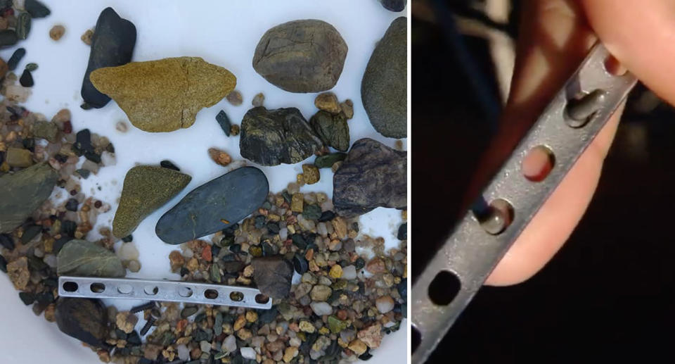 Photos showing the orthopaedic metal plate found inside a 60-year-old crocodile's stomach.