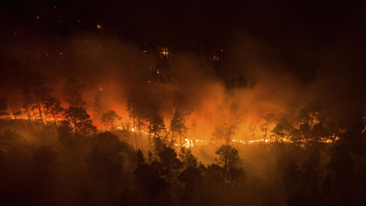 Der Wald im russischen Krasnojarsk in Sibirien steht in Flammen.