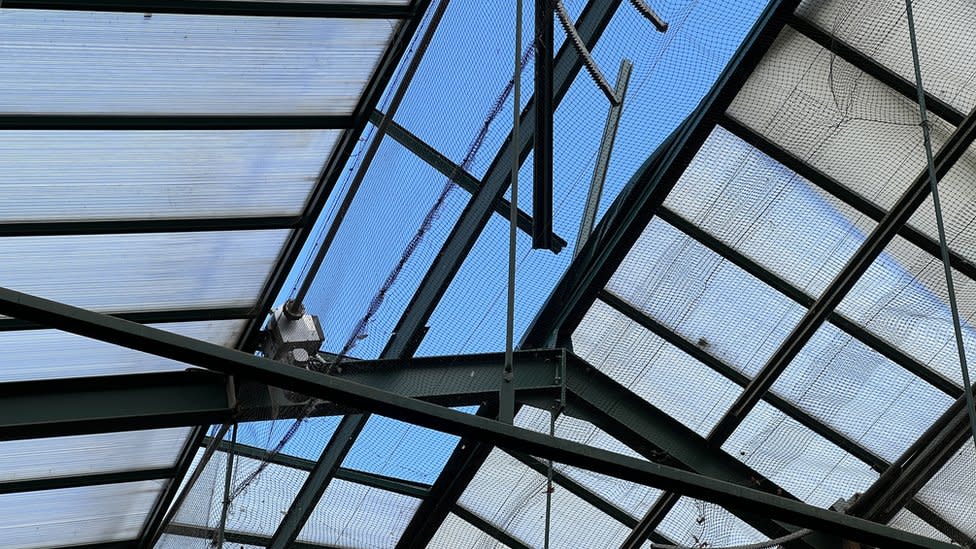 Damaged roof on orangutan enclosure at Colchester Zoo