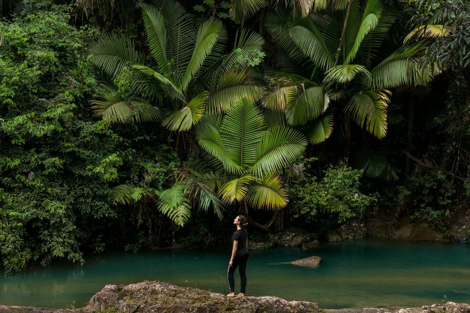 A woman standing on rocks at lakeshore against tree in El Yunque National Forest