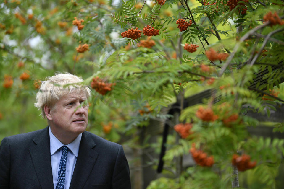 Conservative Party leadership candidate Boris Johnson during a visit to King & Co tree nursery, in Braintree, Essex, ahead of a Tory leadership hustings, England, Saturday, July 13, 2019. (Neil Hall/Pool photo via AP)