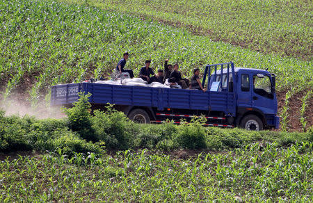 FILE PHOTO: North Koreans take a truck through a path amongst the fields, along the Yalu River, in Sakchu county, North Phyongan Province, North Korea, June 20, 2015. REUTERS/Jacky Chen/File Photo